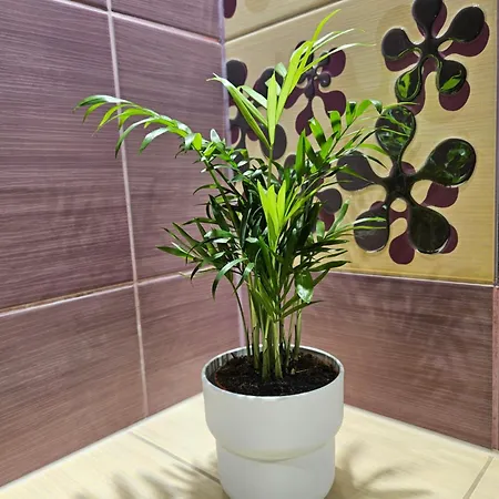 Stary Browar Apartment Posen