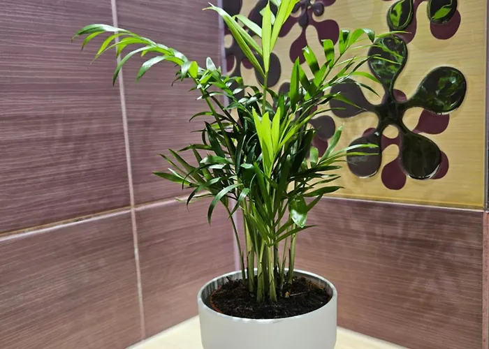 Stary Browar Apartment Posen